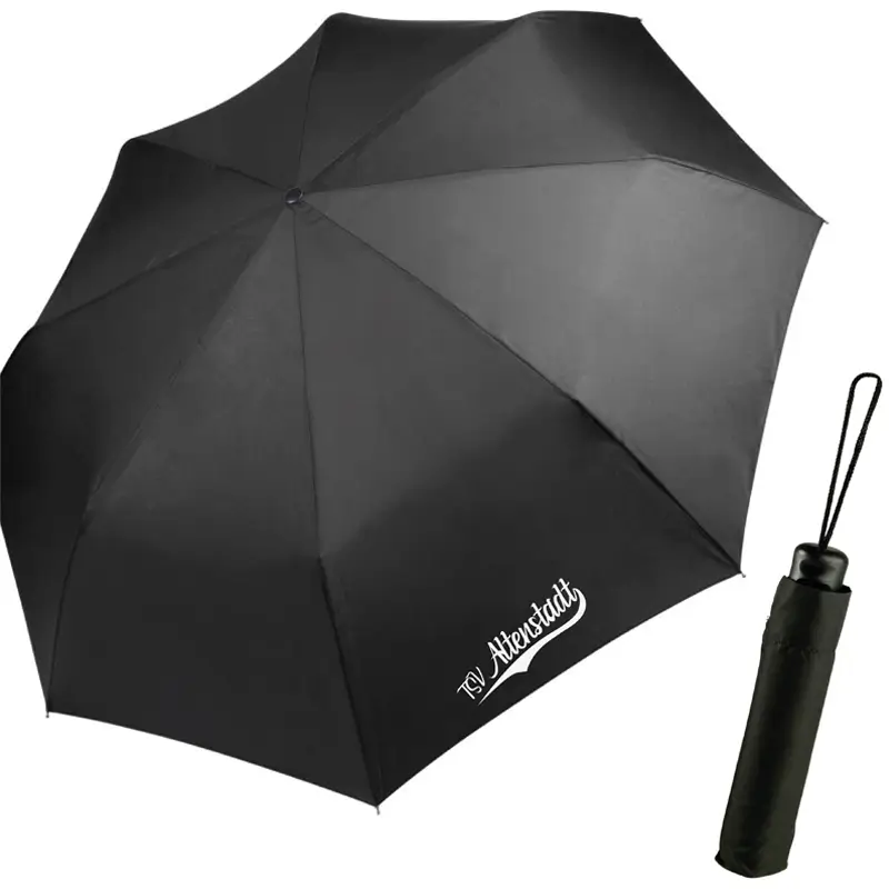 Featured image for “Mini Taschenschirm”